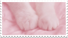 pastel pink cat paws on pinker background